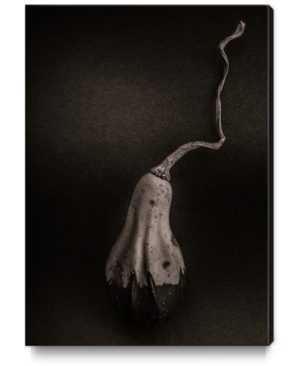 Gourds No 12 Canvas Print by The Learning Curve Photography