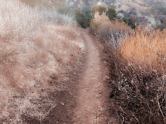 walkway on the mountain with dry grass field by Timmy333