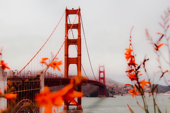 At Golden Gate bridge San Francisco California USA by Timmy333