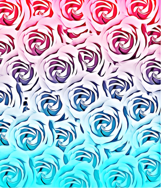 blooming rose pattern texture abstract background in pink and blue by Timmy333