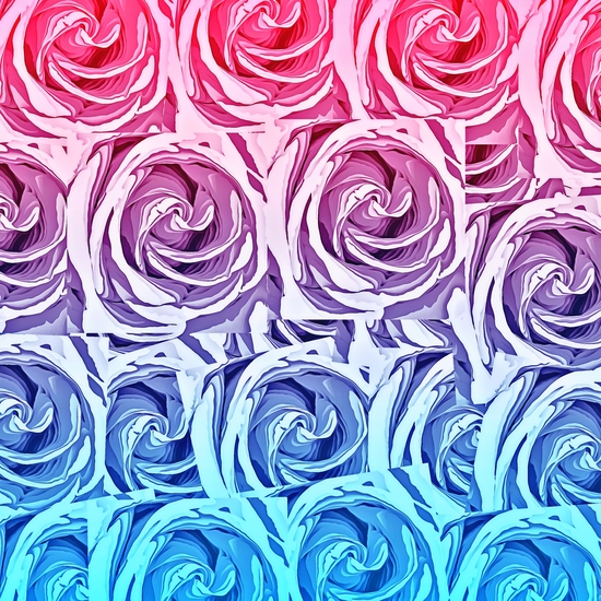 closeup pink rose and blue rose texture pattern abstract background by Timmy333