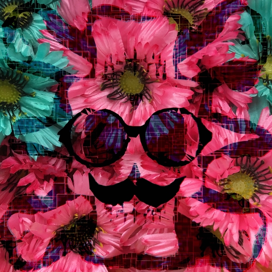 vintage old skull portrait with red and blue flower pattern abstract background by Timmy333