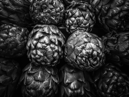 closeup artichoke texture background in black and white by Timmy333