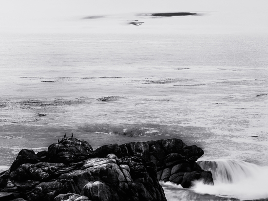 ocean sunset view in California USA in black and white by Timmy333