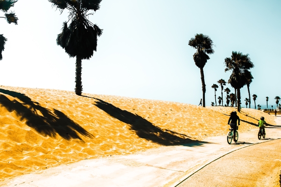 palm tree and sandy beach at Oxnard Beach, California, USA by Timmy333