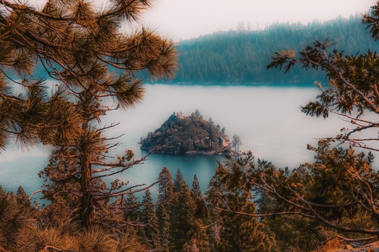 Pine tree and island at Emerald Bay Lake Tahoe California USA by Timmy333