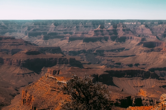 Desert layer at Grand Canyon national park USA by Timmy333