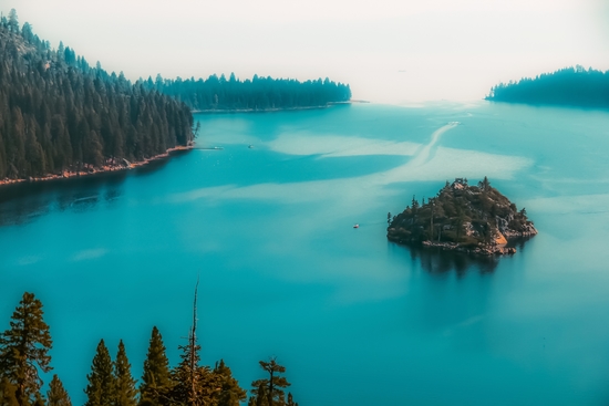 Pine tree and island at Emerald Bay Lake Tahoe California USA by Timmy333