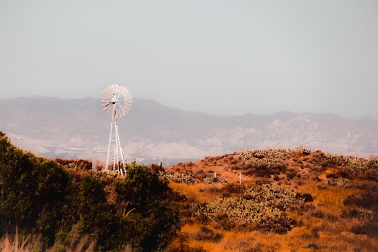 windmill and green cactus garden with mountain view and blue sky by Timmy333