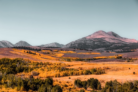 autumn tree with mountains and blue sky background in California USA by Timmy333