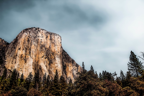 Mountains and pine tree with blue cloudy sky at Yosemite national park, California, USA by Timmy333