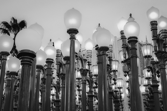 Urban Light at LACMA Los Angeles California USA in black and white by Timmy333