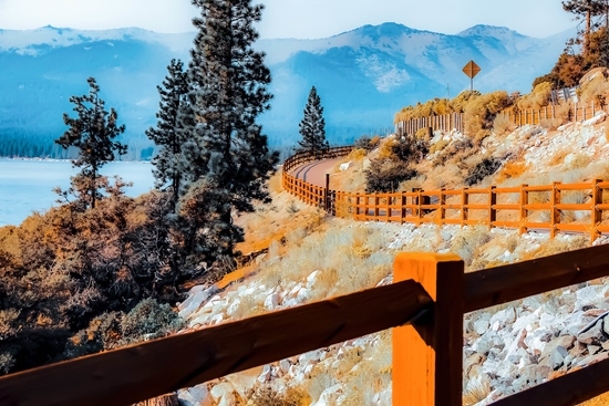 walkway with pine tree and mountains view at Lake Tahoe, Nevada, USA by Timmy333