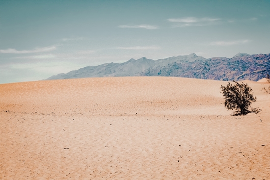 Sand desert and mountain view at Death Valley national park California USA by Timmy333