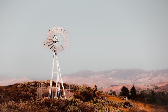 windmill and cactus garden with mountain view and blue sky background by Timmy333