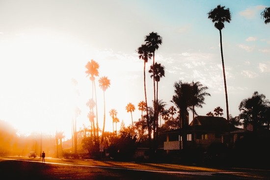 summer sunset sky with palm tree view in California USA by Timmy333