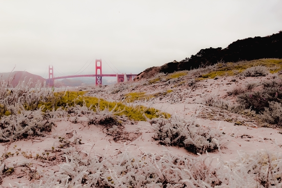 At Golden Gate bridge San Francisco California USA by Timmy333