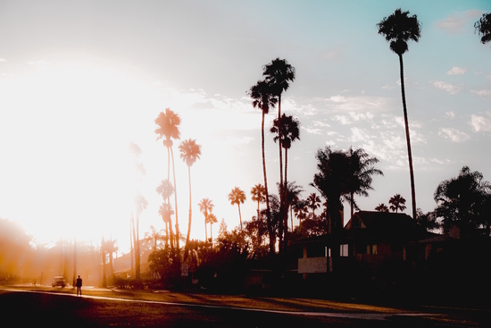 sunset sky in summer with palm tree view in California USA by Timmy333