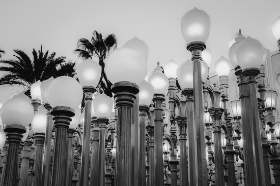 Urban Light at LACMA Los Angeles California USA in black and white by Timmy333
