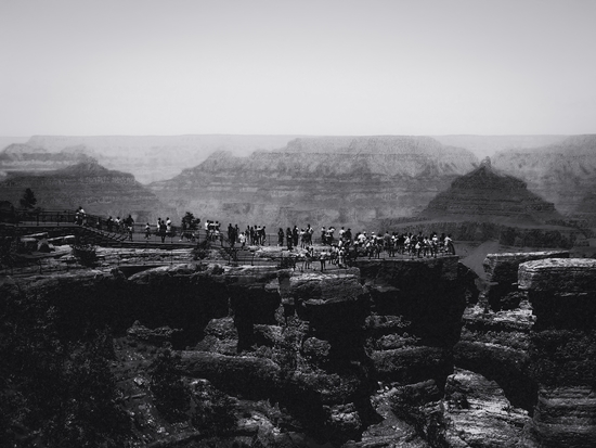 desert view at Grand Canyon national park Arizona USA in black and white by Timmy333