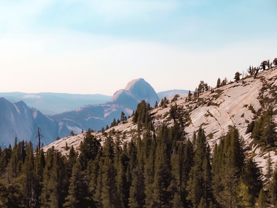 mountain and pine tree at Yosemite national park USA by Timmy333