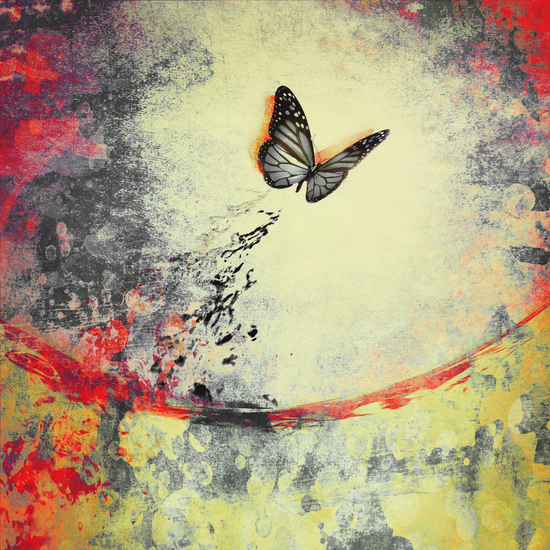 Butterfly I by DejaReve
