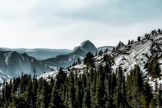 Mountains with pine tree at Yosemite national park, California, USA by Timmy333