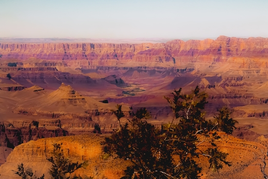 Desert in summer at Grand Canyon national park USA by Timmy333
