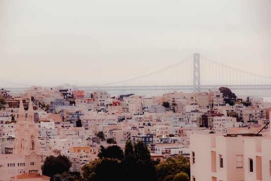 Buildings with bridge view at San Francisco California USA by Timmy333