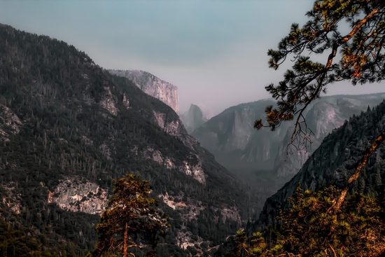 mountain in the forest at Yosemite national park California USA by Timmy333