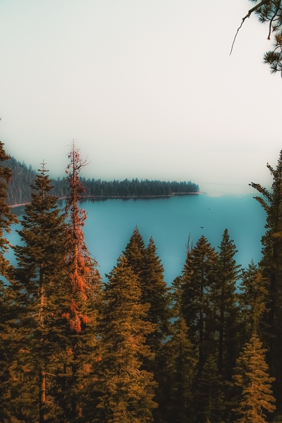 pine tree and lake scenic at Emerald Bay Lake Tahoe California USA by Timmy333