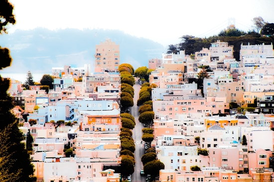 road with green tree and buildings at San Francisco California USA  by Timmy333