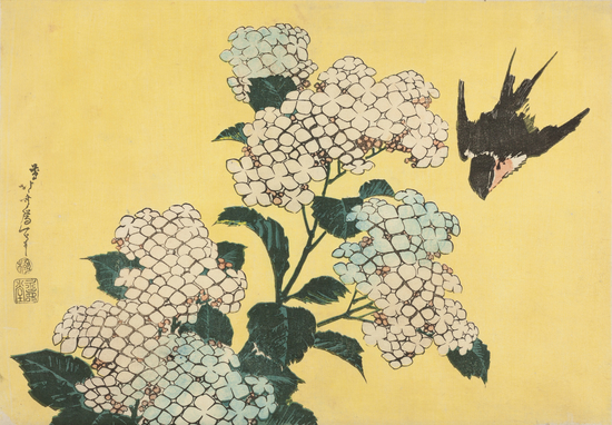 Hydrangea and Swallow by Katsushika Hokusai