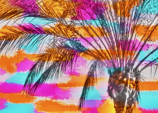 palm tree with colorful painting abstract background in pink orange blue by Timmy333