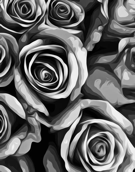 roses texture in black and white by Timmy333