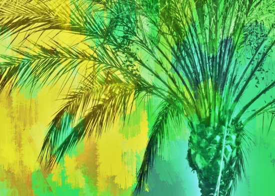 palm tree with green and yellow painting texture abstract background by Timmy333