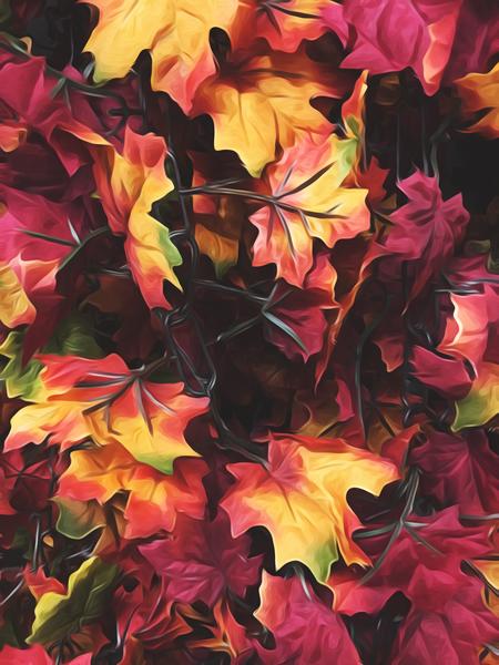 maple leaves texture background in autumn season by Timmy333