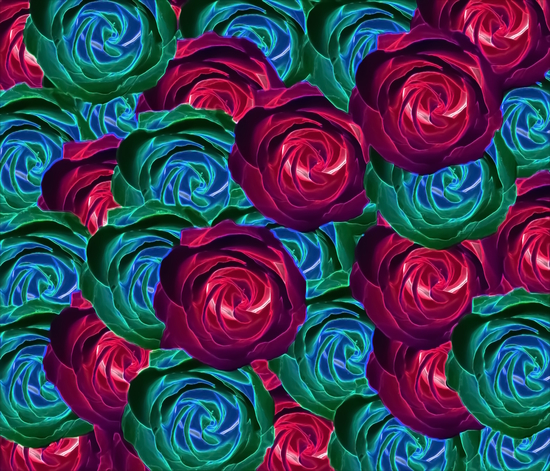 closeup blooming roses in red blue and green by Timmy333
