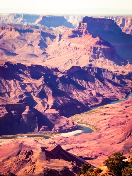 closeup desert at Grand Canyon national park, USA by Timmy333