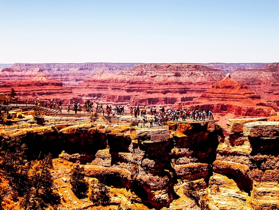 Desert in summer at Grand Canyon national park, USA by Timmy333