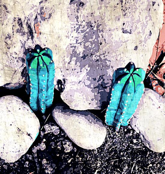 green cactus on the ground with stone background by Timmy333