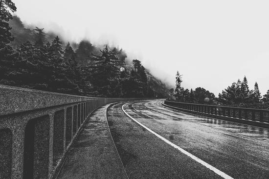 bridge in the forest in black and white by Timmy333