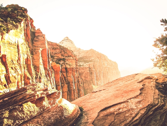 rocky mountain with strong sunlight at Zion national park, USA by Timmy333