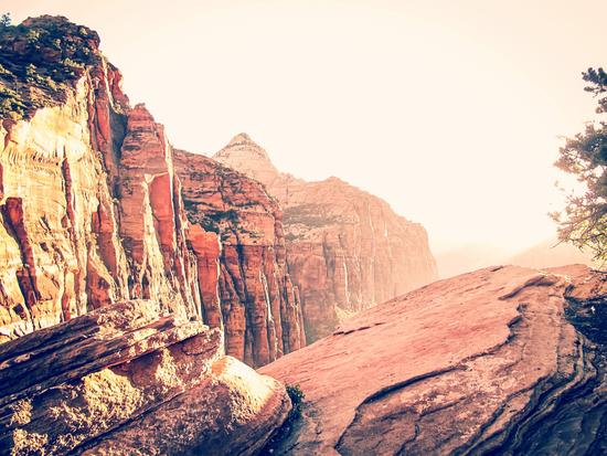 At Zion national park, USA in summer by Timmy333