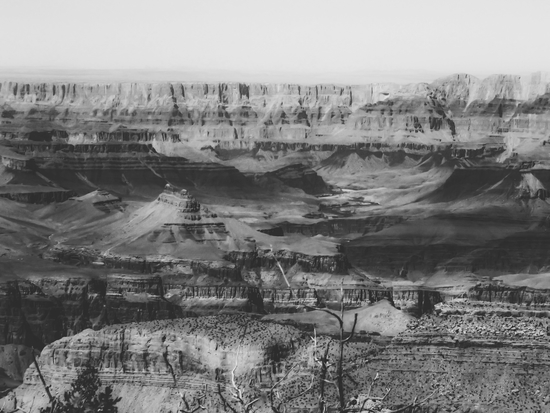 rocky mountain at Grand Canyon national park, USA in black and white by Timmy333