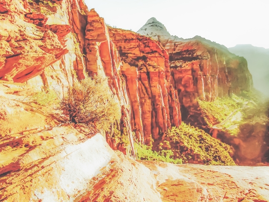 mountain view at Zion national park, USA with summer sunlight by Timmy333