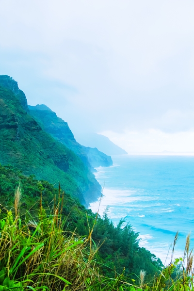 green mountain and ocean view at Kauai, Hawaii, USA by Timmy333