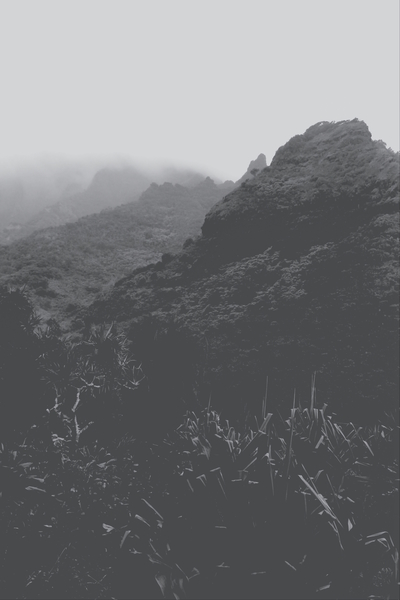 mountain in the forest with foggy sky in black and white by Timmy333