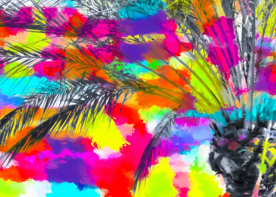 palm tree with splash painting abstract background in red pink yellow blue by Timmy333