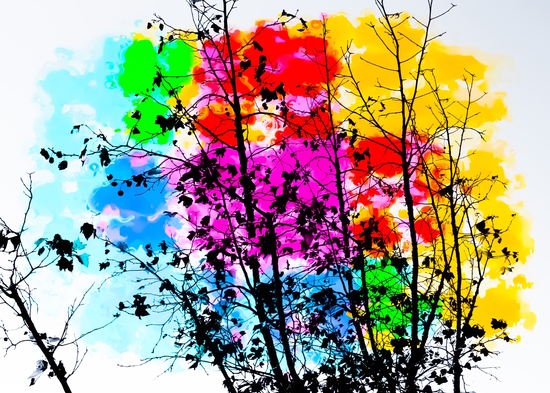 tree branch with splash painting texture abstract background in pink blue red yellow green by Timmy333